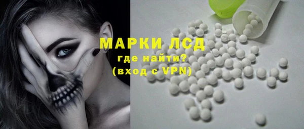 шишки Арсеньев