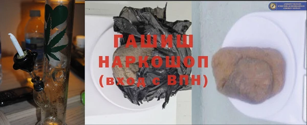 шишки Арсеньев