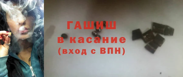 шишки Арсеньев