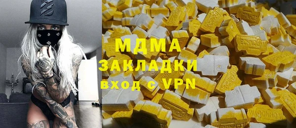 шишки Арсеньев
