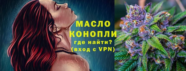 шишки Арсеньев