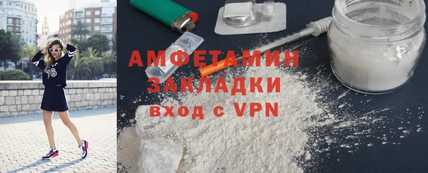 шишки Арсеньев