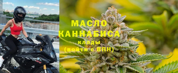 шишки Арсеньев