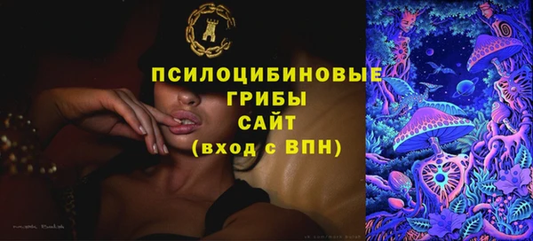 PSILOCYBIN Аркадак