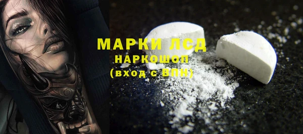 PSILOCYBIN Аркадак
