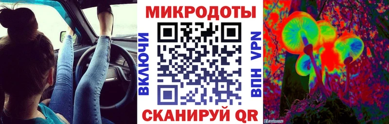 Купить где  Катайск  Псилоцибиновые грибы Psilocybe 